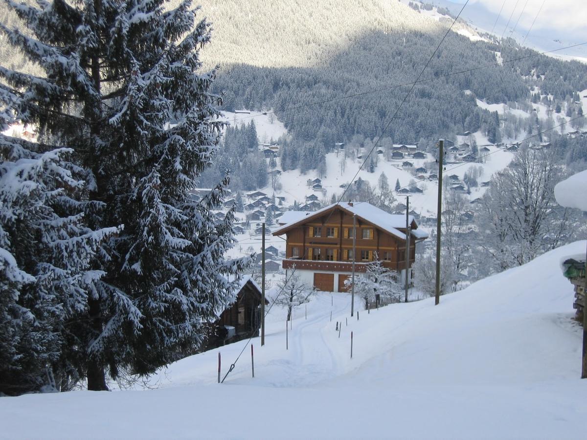 Chalet Studen Гриндельвальд Экстерьер фото