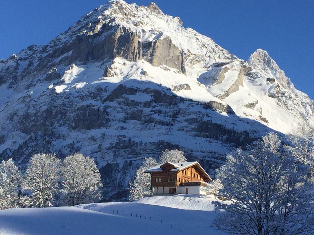 Chalet Studen Гриндельвальд Экстерьер фото
