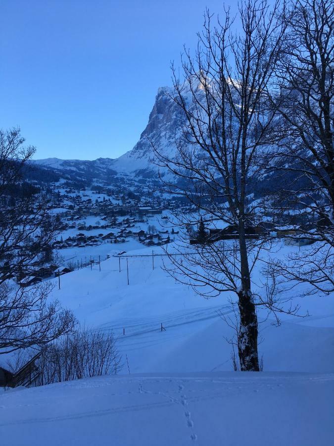 Chalet Studen Гриндельвальд Экстерьер фото